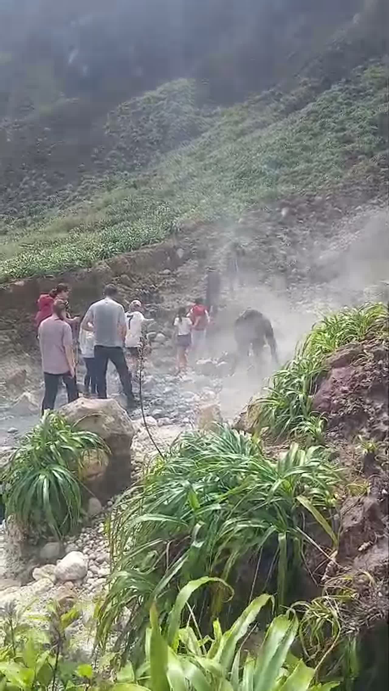 Clip 1