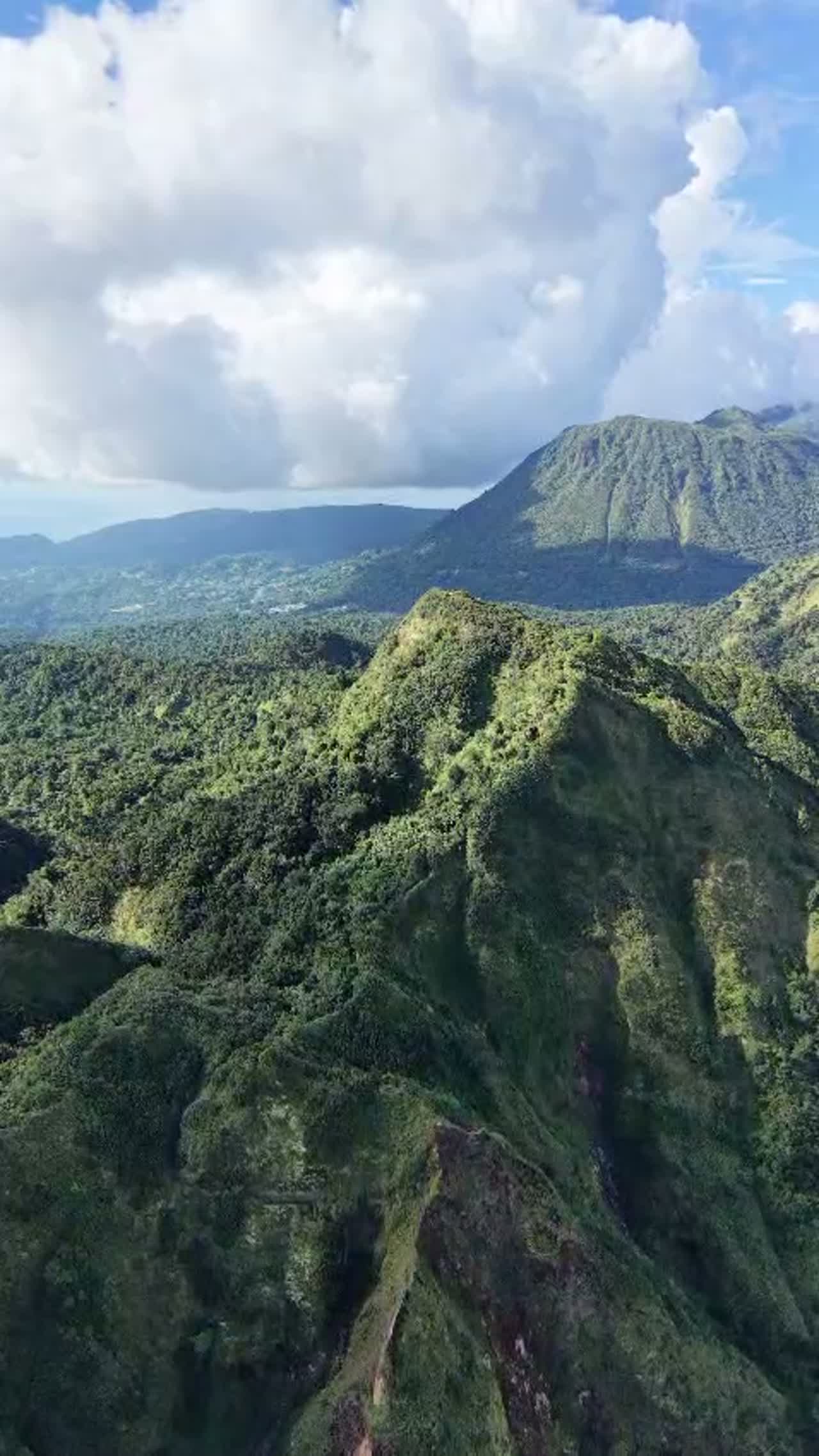 Clip 2
